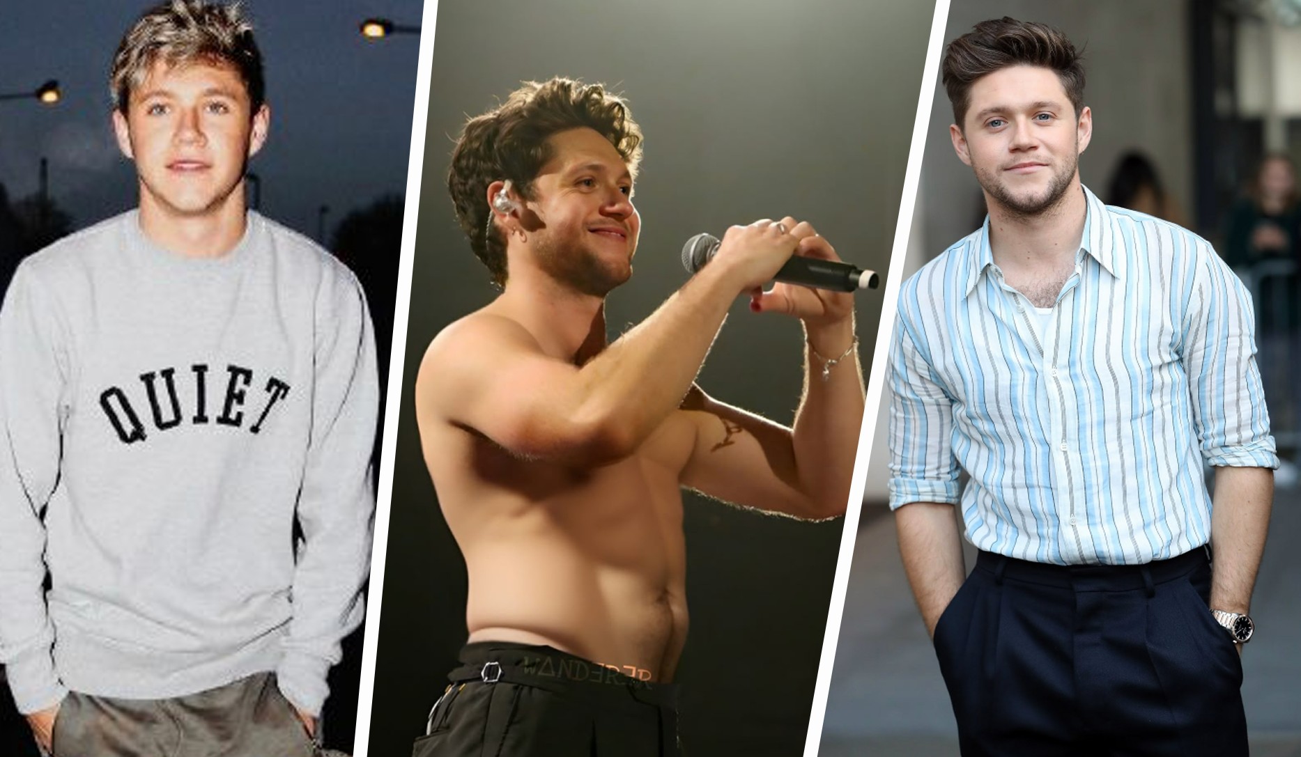 Niall Horan Desnudo: Filtraciones, Fotos en la Ducha y Su Sexualidad